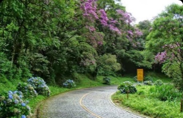 Estrada da Graciosa